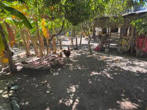 Finca Agroturística La Sultana