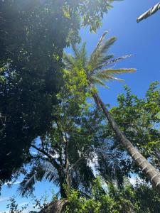 Finca Agroturística La Sultana