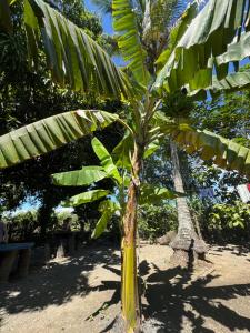 Finca Agroturística La Sultana