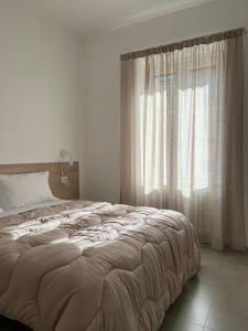 Central Apartment