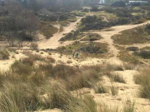 Apartment in Nieuwpoort with garden