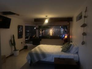 Loft Cactus De La Herradura