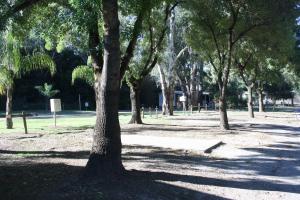 BIG4 Tiny Away Escape at Seymour Riverside