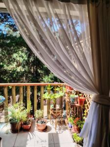 arriendo Alto Las Cruces