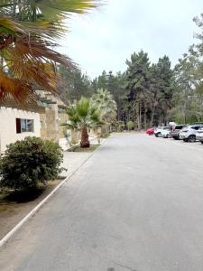 arriendo Alto Las Cruces