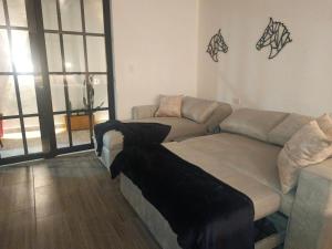 modern and quiet, cozy and familiar design