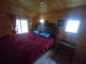 Cabañas bosque de la bruja