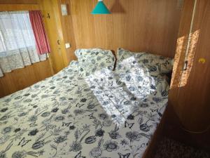 Královna - Camp pod kaštany