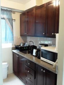 1 BDR Apt on 7 Mile Beach at Negril Beach Club