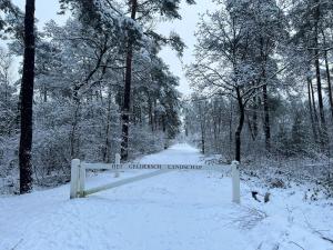 Kindvriendelijk sfeervol vakantiehuis Bosgeneugte bij zwembad op de Veluwe