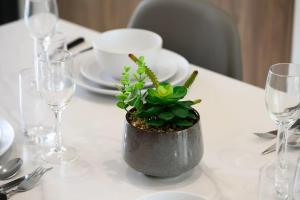 Cozy Marrickville Studio 10 Min Walk to Train