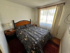 Los Castaños Pucón