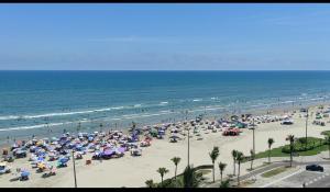 Aconchego do Caiçara Frente Mar Vista Mar Pé na Areia Wi-Fi Varanda Gourmet Cozinha Completa 2 Banheiros 1 Vaga Garagem Apto Novo Perto Feirinha do Caiçara