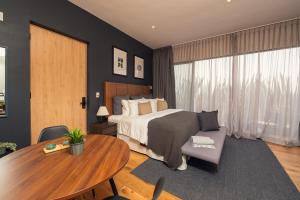 Luxury Apartment in Roma Norte