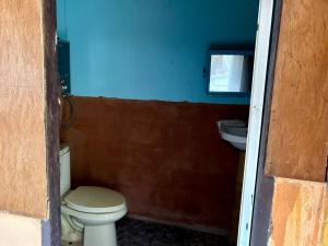 Sunny Jungle Waterfall Retreat