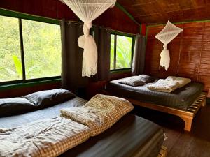 Sunny Jungle Waterfall Retreat