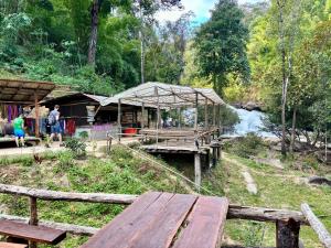 Sunny Jungle Waterfall Retreat