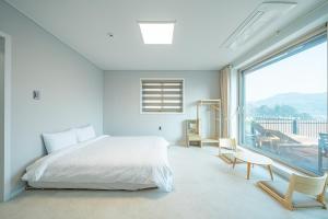 Seorin Chuncheon Dog Pension