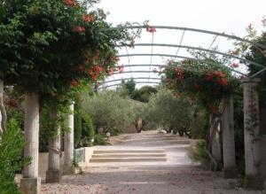 Maisons de vacances Le Mazet 40 : photos des chambres