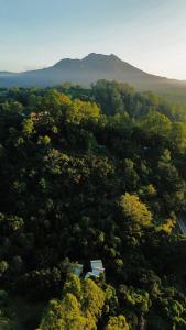 Nirata Treehouse Kintamani