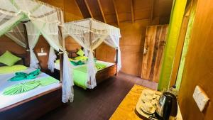 Sigiri Aliya Eco Tree House