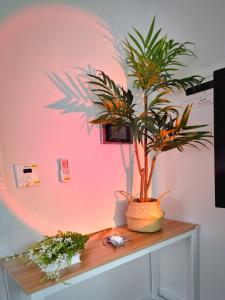 Mapo Family House UniAranchium