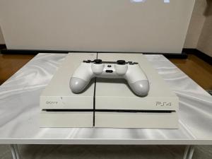 Kawagoe Entertainment House for 14 Guests