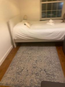 Luxurious 4 Bedroom Apartment in Heart of London