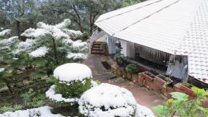 Essence of Nature, Ranikhet