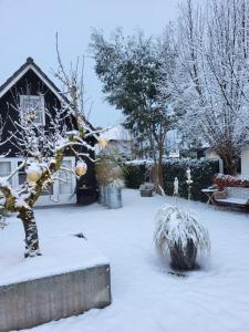 Je B&B Giethoorn, incl fietsen!