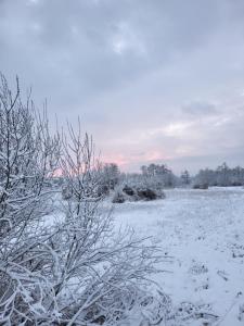 Je B&B Giethoorn, incl fietsen!