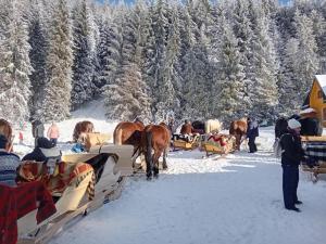 Apartamenty Baj na Polnej - Granatowa Ostoja