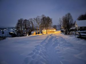 Casa cu copaci Romanian historical farmhouse