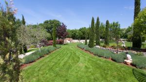 House in the olive grove by Villas Guide