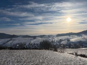 Wonderland Apartamenty