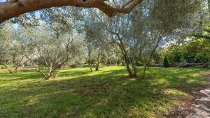 Apartman Kalac by Villas Guide