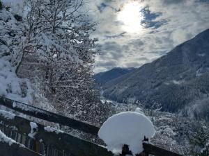 Raffreiderhof Apt Zirbe