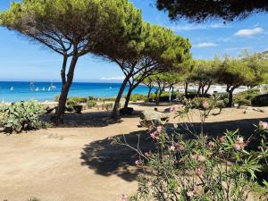 Appartement T2 P23 LUMIO