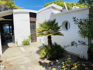 Appartement T2 P23 LUMIO