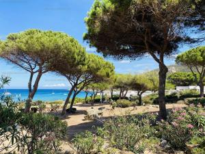 Appartement T2 P23 LUMIO