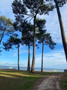 Mobilhome Cap Ferret Les Lodges 3