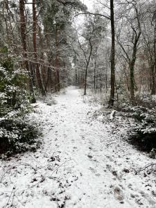 "RustOord" Ontspannen op de Veluwe Bospark Ijsselheide Hattemerbroek