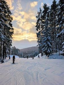 Nyproducerat boende med Ski in - Ski out, bastu och utsikt över backen Järvsö