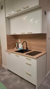 APARTAMENT 327 - Arka