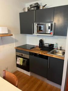 La Mongie T3 Duplex 8 personnes vue sur les pistes