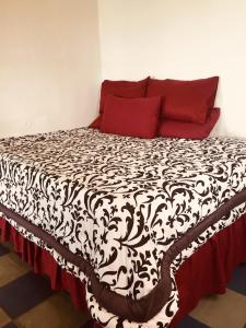 Jeffs Place Wild Coast Accommodation Transkei