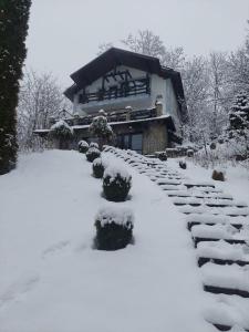 VILA GIGI, ideala pentru relaxare si distractie!