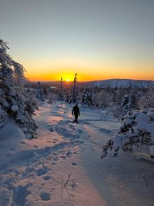 Isokelo Log Apartments