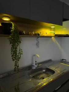 Studio Aconchegante no Ribeirão da Ilha