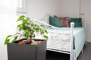 Appartement - Wallenried